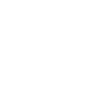 Flagler Window Tinting